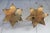Metal Pair of Vintage Brass Holly Leaf Taper Candle Holders For Sale - Image 7 of 8