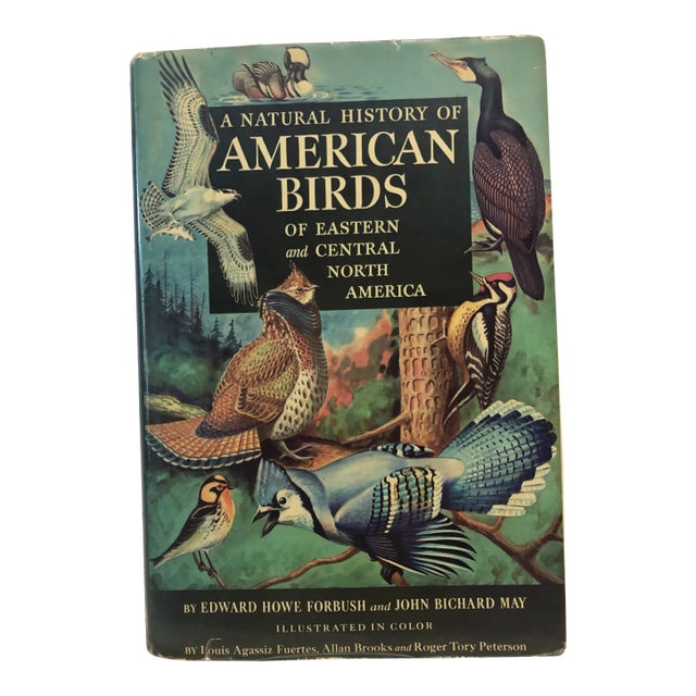 Natural History of American Birds of Eastern & Central America Book For Sale