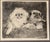 Original framed etching titled "Pekingese" by Don Swann (Florida/Maryland, 1889-1954). Pencil signed by the artist lower...