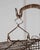 French Mid 20th Century Charming French Birdcage Plant Stand with Original Paint For Sale - Image 3 of 15