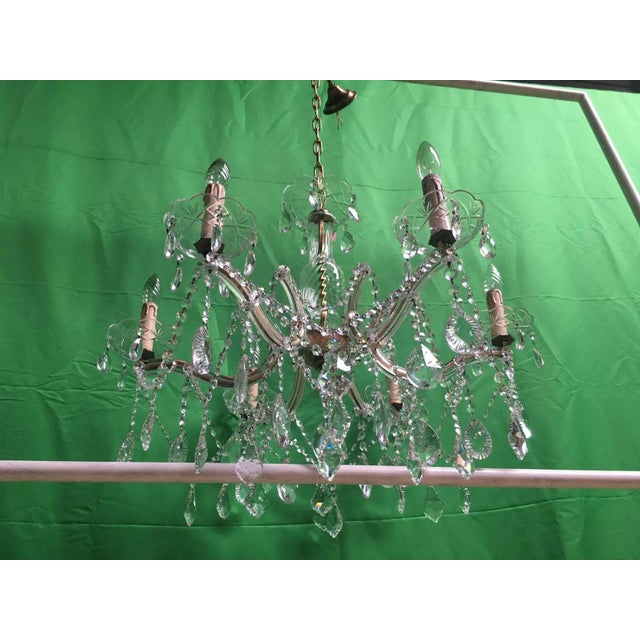 Crystal Chandelier, 1950s For Sale - Image 14 of 18