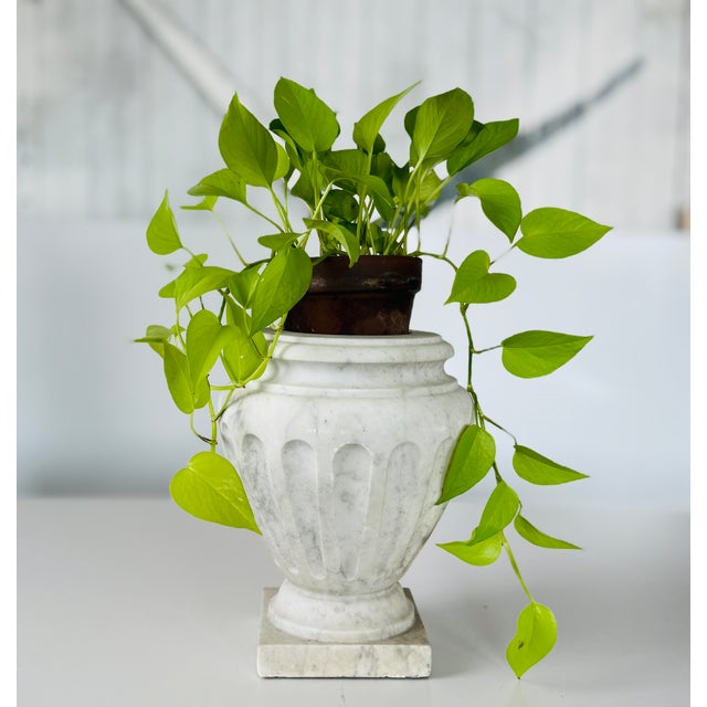 Marble Jardinaires - A Pair For Sale - Image 4 of 12