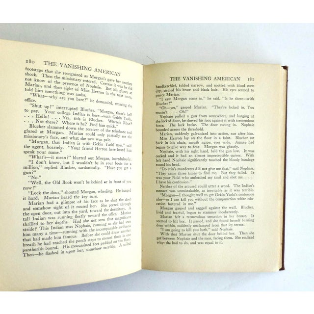 1925 'The Vanishing American' by Zane Gray, Illustrated For Sale - Image 4 of 5