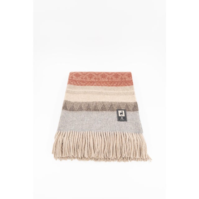 Peruvian Handwoven 100% Alpaca Throw in Earth & Terracotta Stripes For Sale - Image 4 of 6