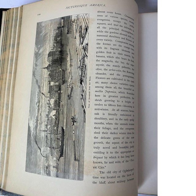 Assembled Set Two Volumes: Picturesque America by Editor William Cullen Bryant For Sale - Image 11 of 11