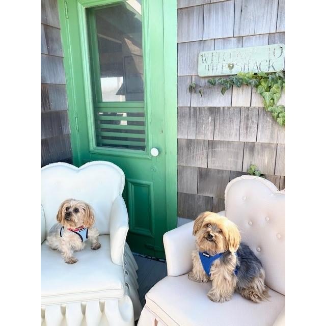 Textile A Boudoir Sweetheart Chair Attributed to LoveShackFancy For Sale - Image 7 of 11
