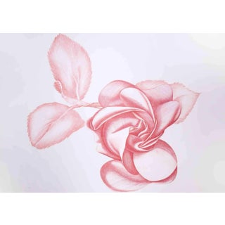 Giacomo Porzano, Red Rose, Original Etching, 1970s For Sale