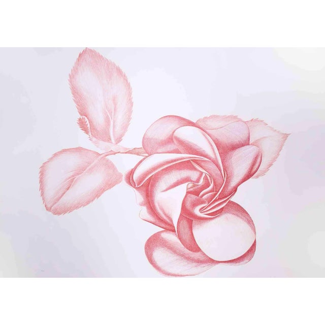 Giacomo Porzano, Red Rose, Original Etching, 1970s For Sale