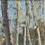 2000 - 2009 Amongst Aspens by Tiffany Williams | Oil on panel Painting of a figure near aspen trees For Sale - Image 5 of 5