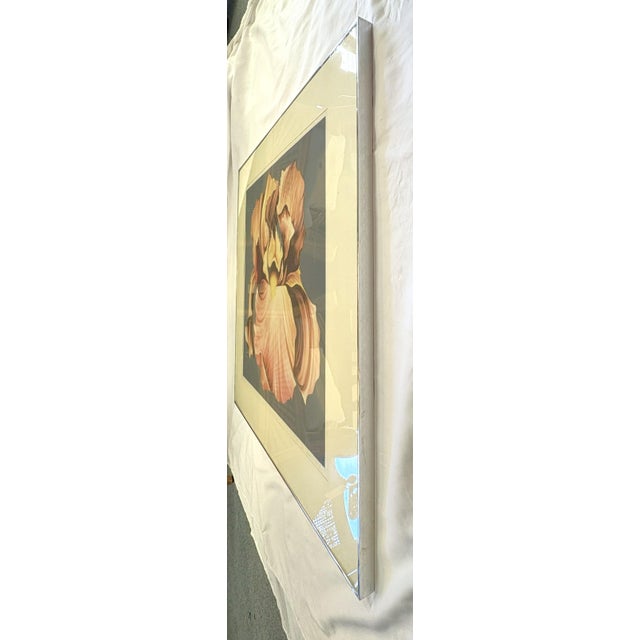 1978 Lowell Nesbitt 'Iris' Lithograph Pencil Signed, Numbered 23/30 and Framed For Sale - Image 13 of 16