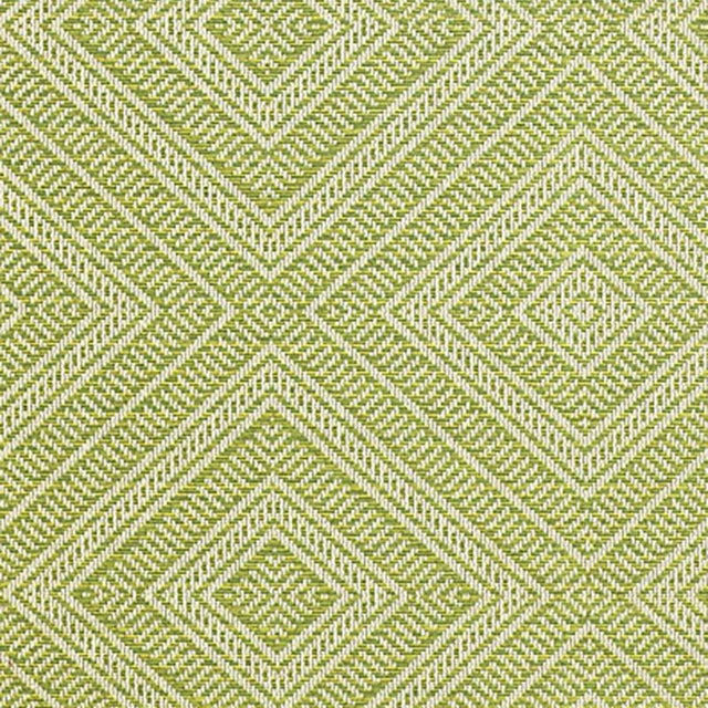 Sample - Schumacher Tortola Indoor & Outdoor Fabric in Kiwi For Sale