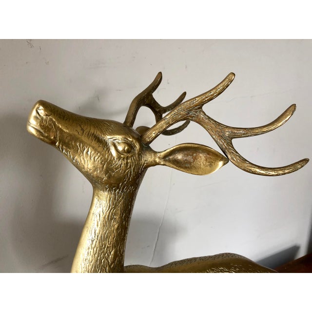 Large Brass Deer a Pair Chairish