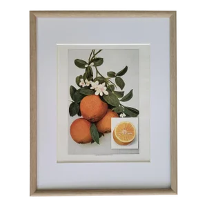 Framed Antique 1911 Orange and Flowers Culinary Kitchen Food Print