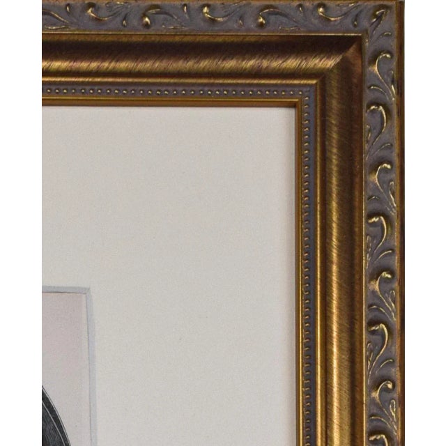 19th Century Antique Hand Colored Bat Engraving by Goldsmith For Sale - Image 4 of 5