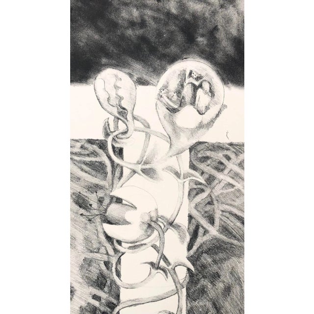 1972 Adrienne Anderson Abstract Lithograph For Sale