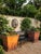 Pair of Grand Tuscan Style Terracotta-Toned Cast Stone Planters For Sale - Image 10 of 12