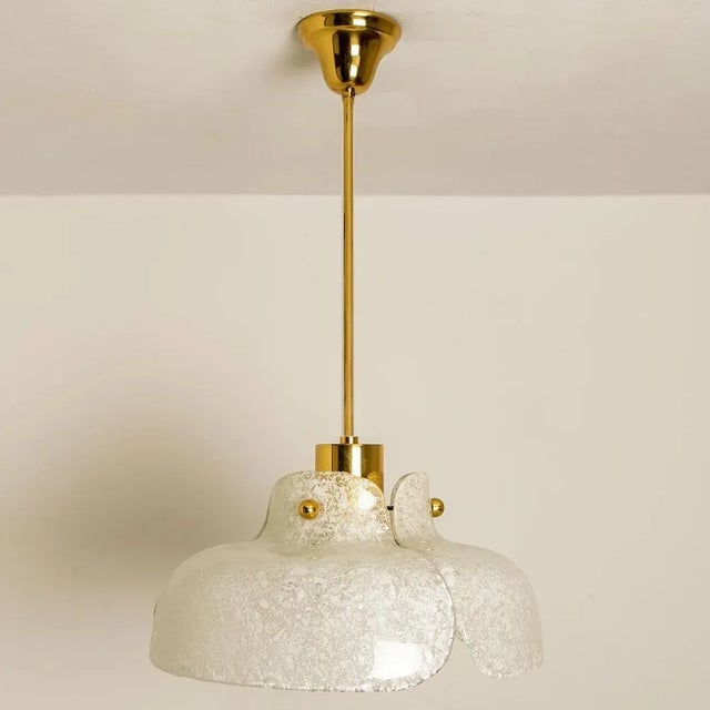 Flower Pendant Lamp from Hillebrand, Europe, Germany For Sale - Image 11 of 13
