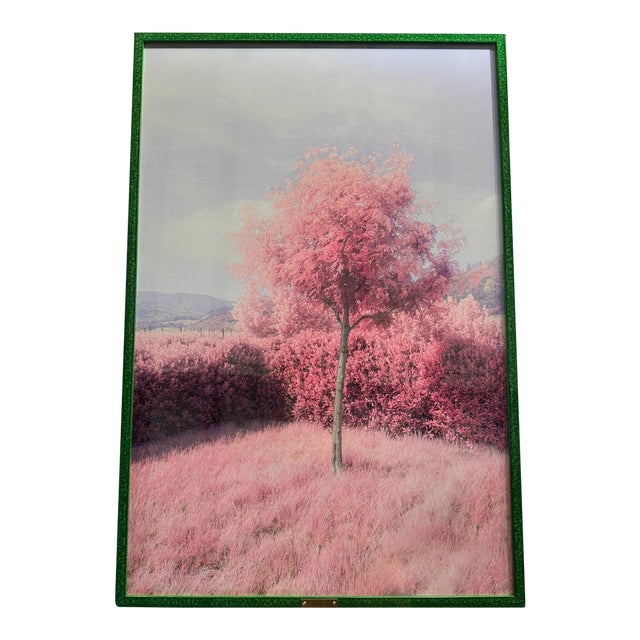 Pink Tree - Framed Original Fine Art For Sale