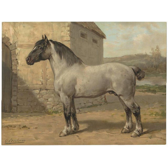 Late 19th Century O. Eerelman, Illustration of a Breton Horse, 1898, Print For Sale - Image 5 of 5