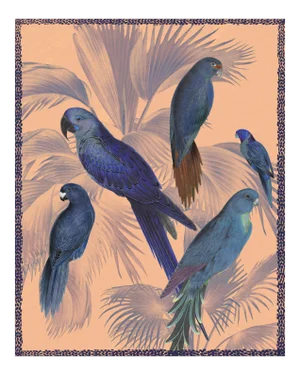 Contemporary Tropical Bird Collage Print - 16" X 20"