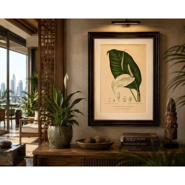Hoola van Nooten, Peace Lily, 1880, Chromolithograph For Sale - Image 4 of 9