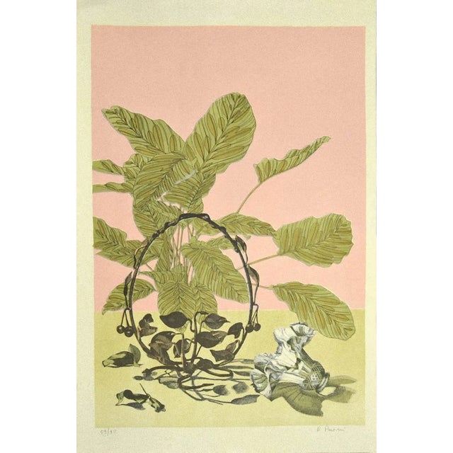 Raffaello Piraino, Still Life, Lithograph, 1970s For Sale