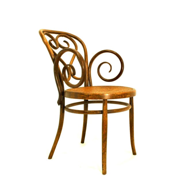 Brown Mid 20th Century Bentwood Arm Chair With Caned Seat by Salvatore Leone For Sale - Image 8 of 8