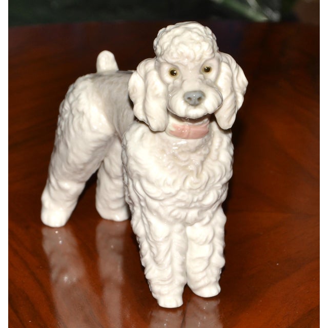 1950s 1950s Lladro Fine Handmade Porcelain Poodle Dog Figurine Animal Sculpture Spain For Sale - Image 5 of 18