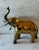 Large vintage mid century solid brass decorative elephant piece. The elephant is standing with his large ears out and his...
