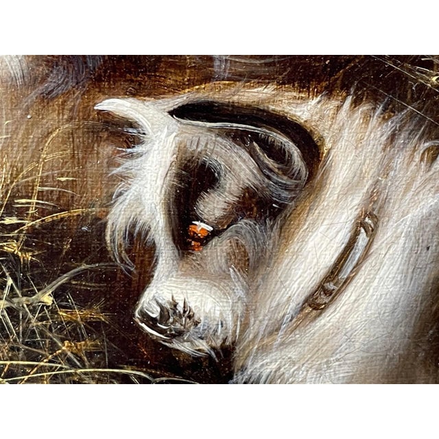 Edward Armfield 19th Century a Sharp Lookout Terriers Ratting Oil Painting For Sale - Image 15 of 15
