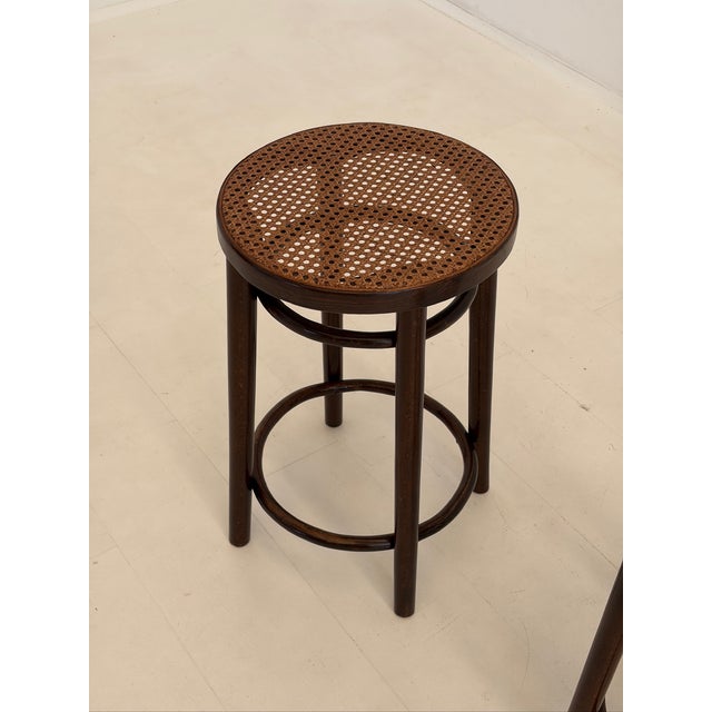 Vintage Stools in Wood and Vienna Straw, 1950s, Set of 2 For Sale - Image 3 of 8