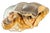 Antique Meissen Style German Porcelain Figurine Young Man For Sale - Image 9 of 18
