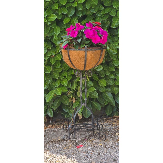 Iron Planters, 1930, Set of 2 For Sale - Image 4 of 10