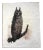 1975 Martha Cawley Woodblock Print, Long-Eared Owl, #1/100 For Sale