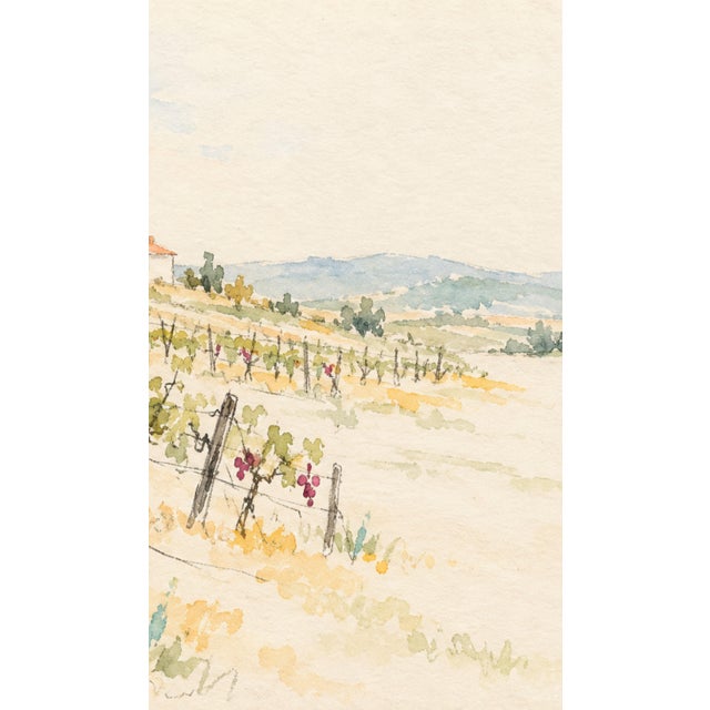 Not Yet Made - Made To Order Vineyard Landscape Art Print – Grapevines and Countryside Farmhouse, 18" X 12" For Sale - Image 5 of 7