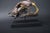 Big Cat Skull Sculpture on Black Display Stand, 1990s For Sale - Image 6 of 10