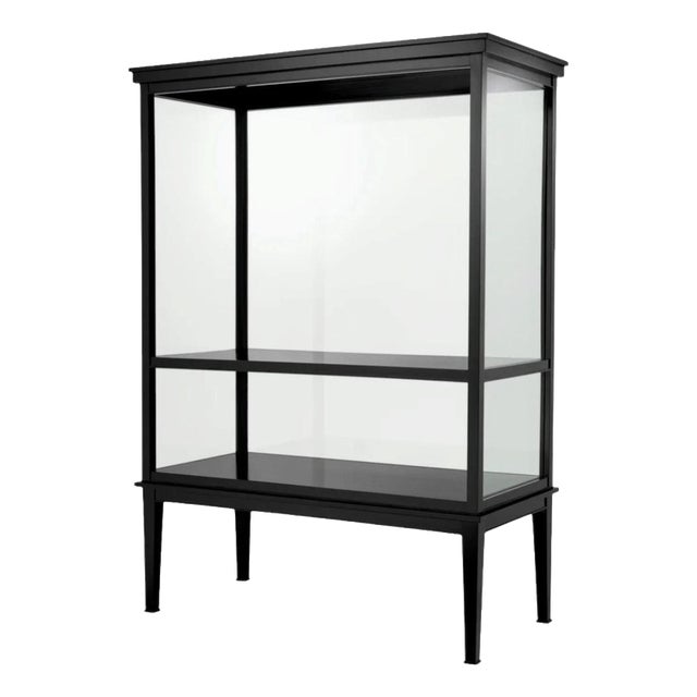 Black Display Cabinet in Wood Veneer and Clear Glass For Sale