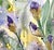 One Giclee professional print on textured archival paper of the watercolor painting “Amethyst Iris”. Approximately 15 x 11...