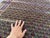 Camel Vintage Baluch Mina Khani Camel Ground Tribal Rug - 6'10" X 5'0" For Sale - Image 8 of 12