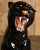 With its arched posture, roaring expression, and unmistakable presence, this large ceramic panther is one of the most...