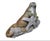 "Get Your Own Starfish" is the title of this endearing sculpture by renowned British Columbian artist Kevin Peters, whose...