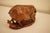 Antique Late Qing Chinese Shoushan Soapstone Sculpture of a Sow With Piglets, Signed For Sale - Image 17 of 17