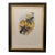 1990s Framed Print, White-Tailed Sabrewing Hummingbird (Plate 46- Hill House Edition) Reproduction Print After John Gould For Sale