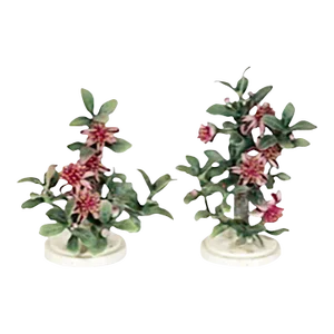 Mid 20th Century Dorothy Doughty Mexican Feijoa and Ladybird Figurines - a Pair