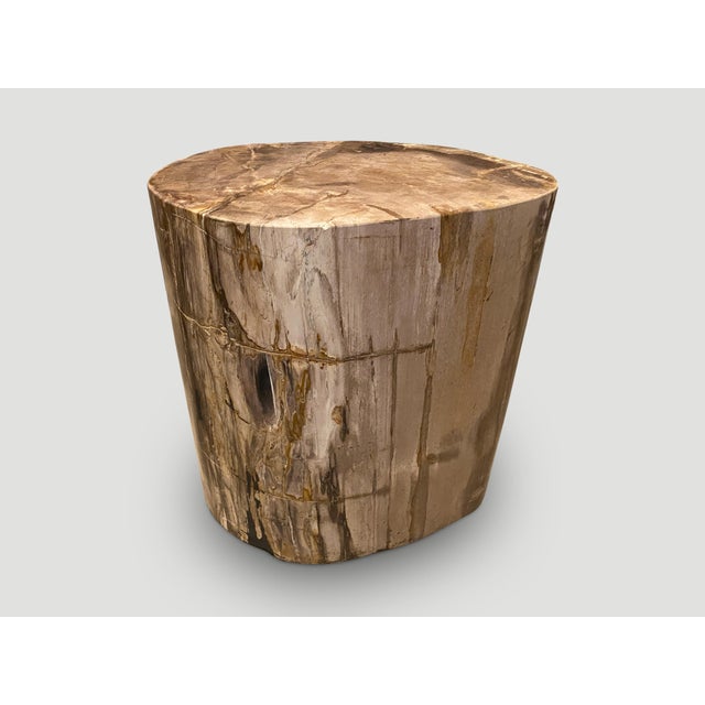 Andrianna Shamaris Large Ancient Petrified Wood Side Table For Sale - Image 11 of 18
