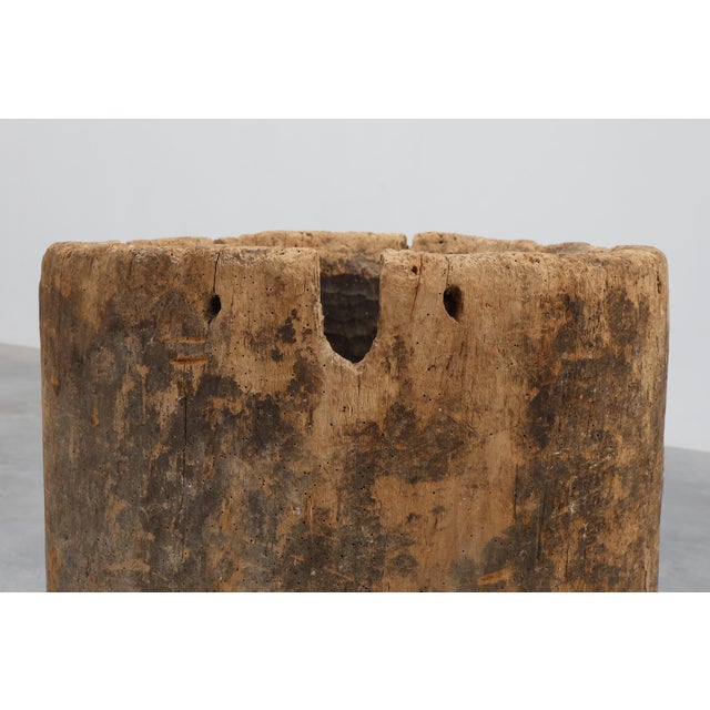 19th Century French Primitive Hollowed Oak Tree Trunk Planter For Sale - Image 6 of 11