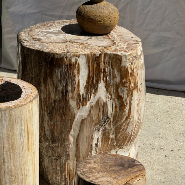 Large Side Table in White and Grey Petrified Wood For Sale - Image 6 of 18