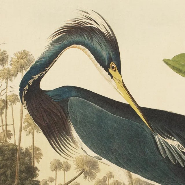 Chinoiserie 1990s Louisiana Heron by Audubon, Large American Classical or Chinoiserie Print For Sale - Image 3 of 10