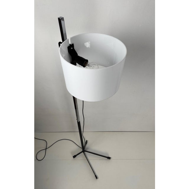 Metal Floor Lamp TMC by Miguel Milà Nº28 for Tramo, Spain, 1960s For Sale - Image 7 of 13