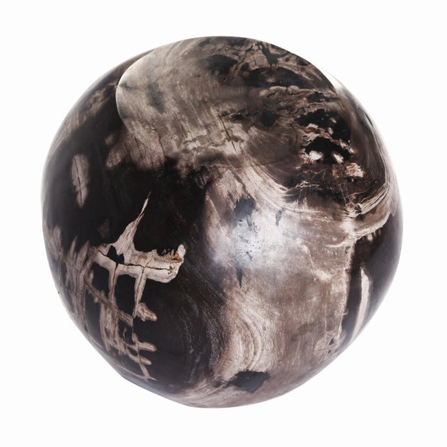 Contemporary Organic Modern Petrified Wood Stool Accent Table For Sale - Image 3 of 7